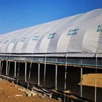 Szklarnia dla kurczaków