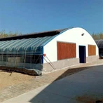 Gospodarstwo szklarniowe